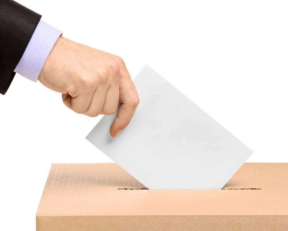 Elezioni e referendum