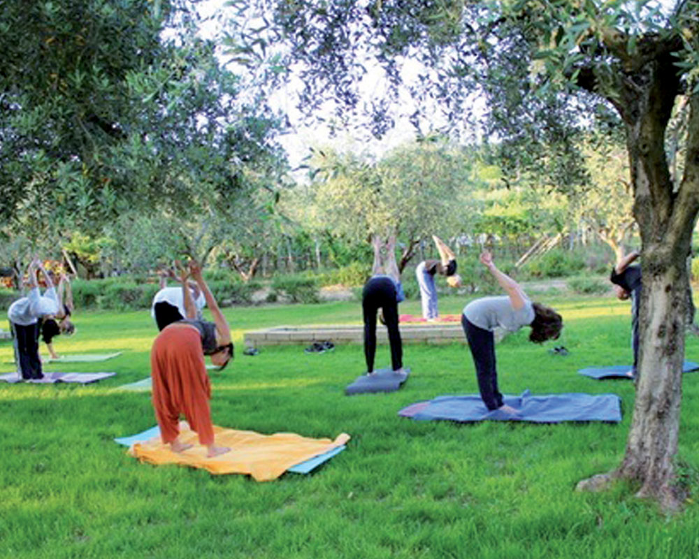 Qi Gong “L'Origine”: pratichiamo all'aperto. A settembre lezioni di prova gratuite