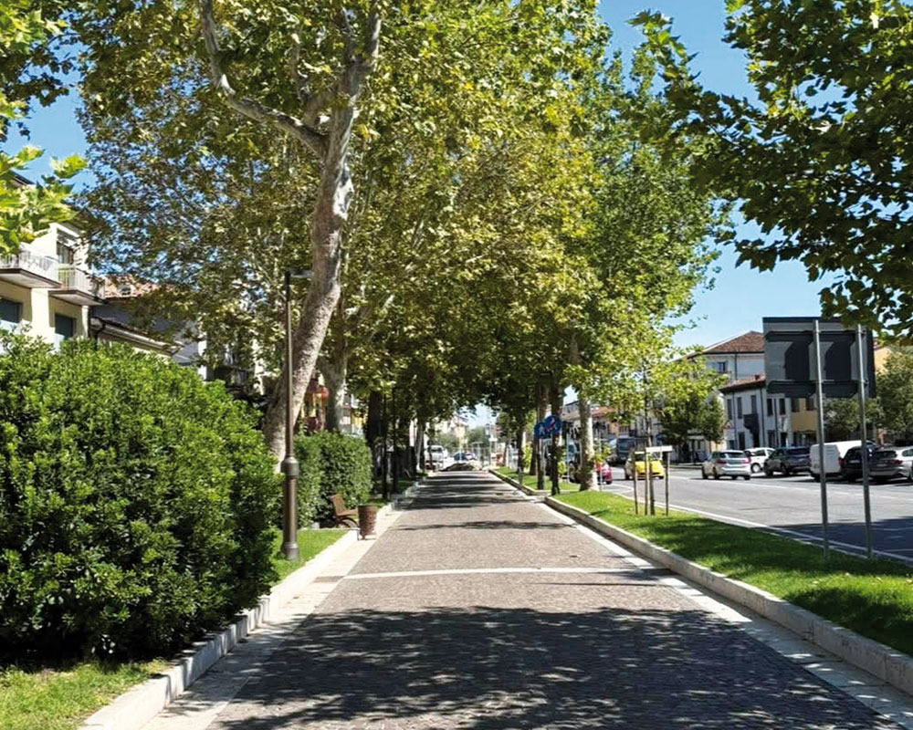 Censimento alberi a San Giovanni Lupatoto