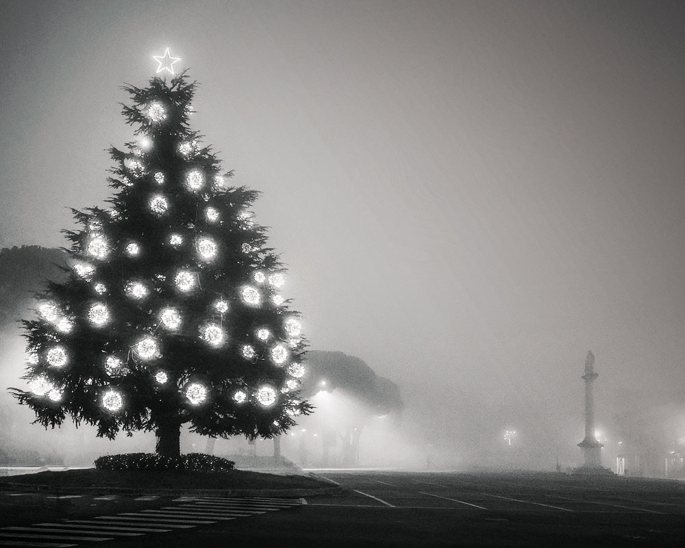 Zevio albero di Natale in piazza Santa Toscana. Foto di Luciana Vincenzini di Scatti da Lupi