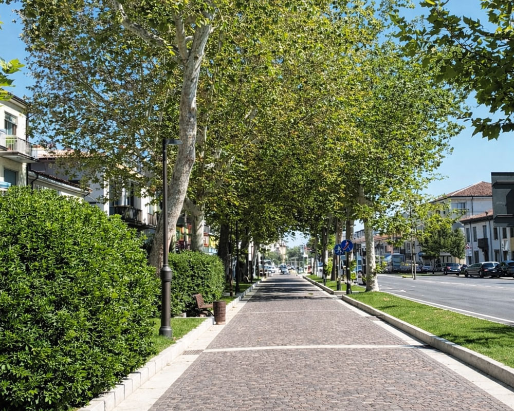 San Giovanni Lupatoto, viale alberato abbattimento alberi malati