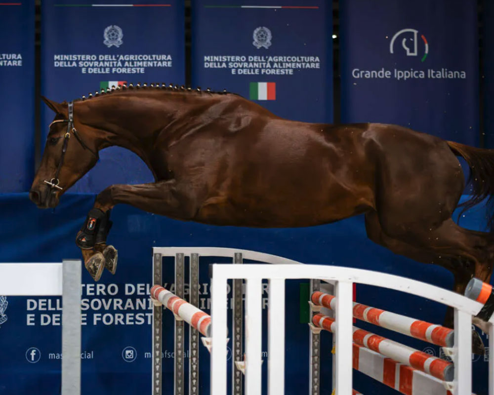Fiera-Cavalli-2026-a-Verona Fieracavalli a Verona dal 5 all'8 novembre 2026